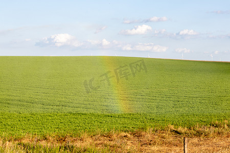 在阳光明媚的日子里，在有美丽彩虹的田野中奔跑的枢轴。 