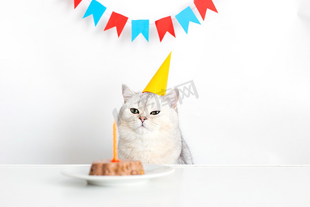 一只戴着黄色纸帽的心怀不满的猫坐在桌子旁，旁边放着一个带蜡烛的罐头蛋糕。