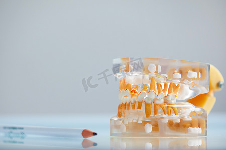 牙科教学摄影照片_牙科牙齿 3d 下巴透明模型