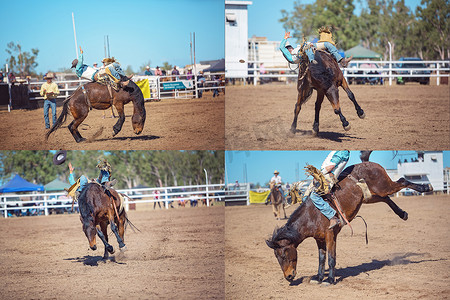 Bareback Bucking Bronc Riding Rodeo 拼贴画