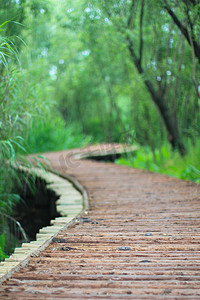 杭州西溪湿地木桥