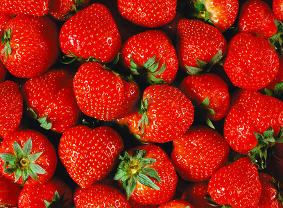 大量成熟的红草莓。质地或背景