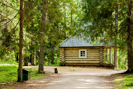 俄罗斯森林中的小木屋