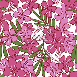 手绘无缝模式的夹竹桃粉红色花朵绿叶在白色背景。