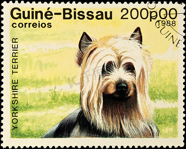 约克夏犬狗邮票。