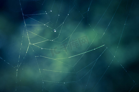 蓝色蜘蛛网背景虚化