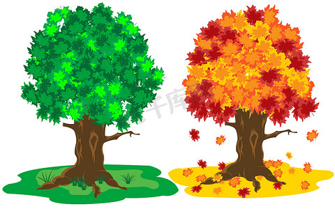 夏天和秋天的树