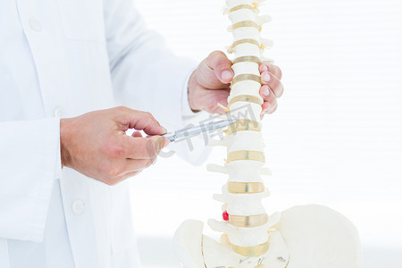 医疗场所摄影照片_医生用他的笔显示解剖脊柱