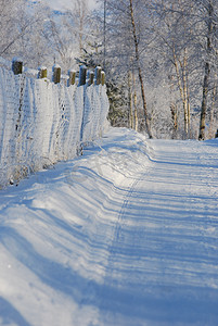 下雪路摄影照片_冬天的路