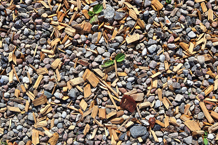 招聘信息摄影照片_砾石地上鹅卵石和石头的详细特写视图
