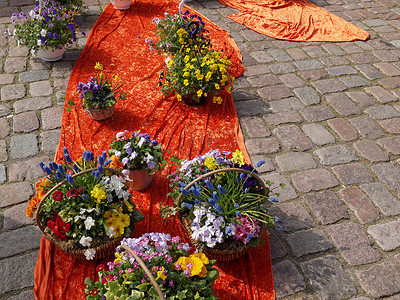 德国花卉市场出售的鲜花