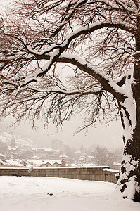 雾天第比利斯老城雪覆盖的冬景