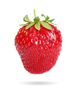 新鲜、多汁、健康的草莓，白底红
