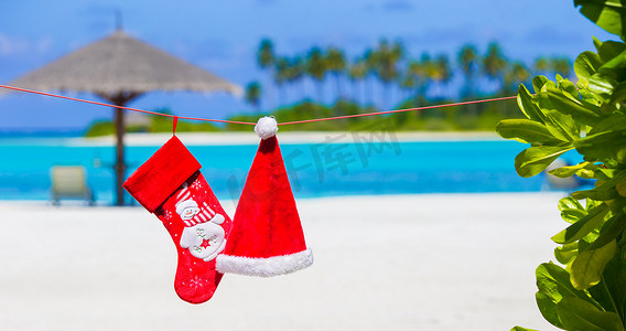棕榈树间的红色圣诞帽和圣诞袜
