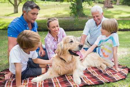 幸福的家庭和他们的狗在公园里