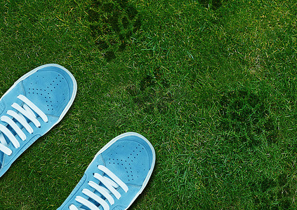 绿色草原上的蓝色鞋印