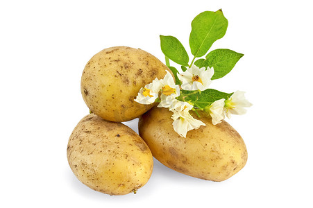 花食物摄影照片_带花的土豆黄