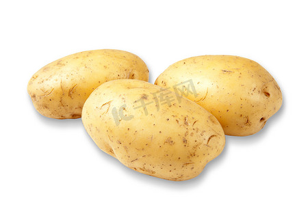 白色背景上的新土豆