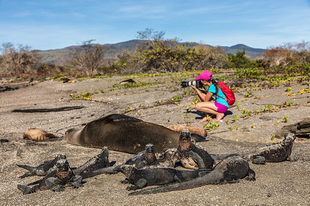加拉帕戈斯群岛的野生动物自然摄影师游客看着加拉帕戈斯海狮和海鬣蜥在加拉帕戈斯冒险旅行度假，埃加斯港（埃加斯港）圣地亚哥岛厄瓜多尔拍照