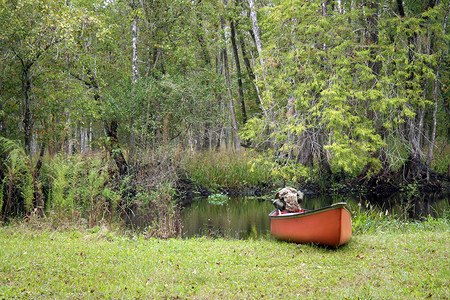在溪岸划独木舟