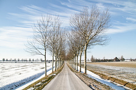 冬日乡村摄影照片_荷兰乡村的冬天