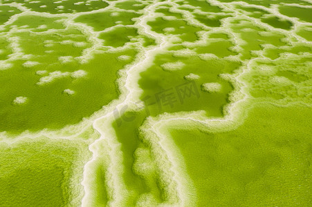 柯柯盐湖摄影照片_绿色盐湖，天然湖泊背景。