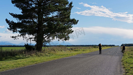一位孤独的摄影师在有松树的开阔风景中拍照