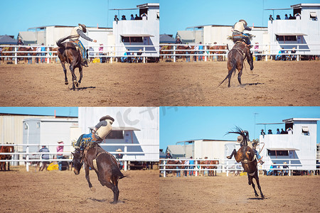 Bareback Bucking Bronc Riding Rodeo 拼贴画