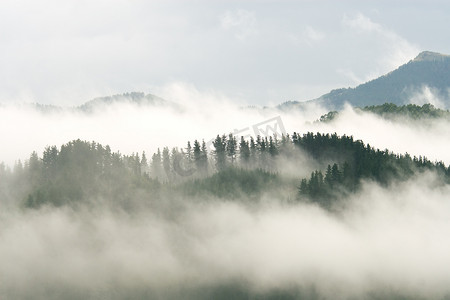 卡兰巴卡摄影照片_西班牙 Bizkaia 的 Avellaneda 山区的雾