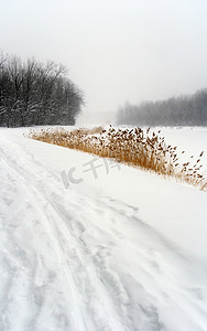 冬季景观中的雪道