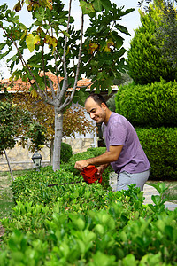 花园里用工具修剪灌木的人