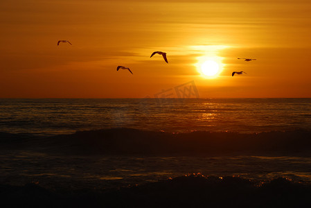 日落大海摄影照片_加州日落
