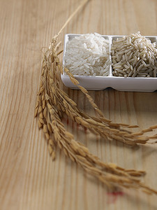 水稻品种