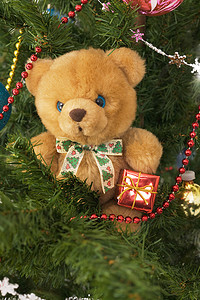 圣诞树树枝上的毛绒玩具熊