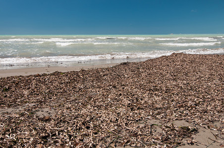 淡季摄影照片_意大利淡季未清理的海滩