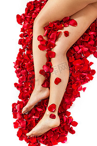 健康女人的腿和白色的玫瑰花瓣。