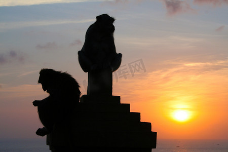 印尼图摄影照片_印度尼西亚巴厘岛乌鲁瓦图寺的猴子。