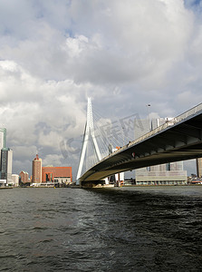 鹿特丹伊拉斯谟大桥