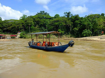 游船在 Tembeling 河，Taman Negara 国家公园，Mal
