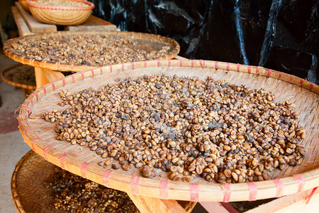 Kopi Luwak咖啡豆