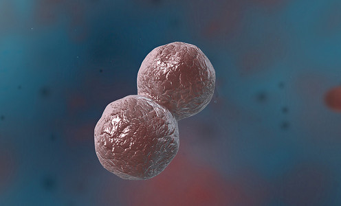 球形脉络摄影照片_球菌是任何具有球形、椭圆形或大致圆形的细菌或古细菌。