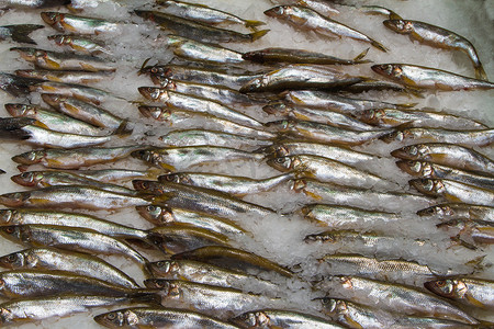 鱼市场冰上的鲜鱼