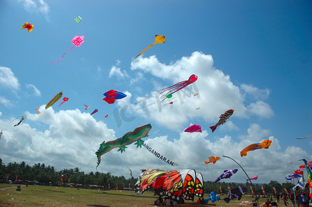 风筝玩具摄影照片_庞岸达兰国际风筝节
