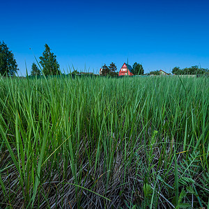 深绿的摄影照片_莫斯科地区暮光之城的红色乡间别墅和深绿草
