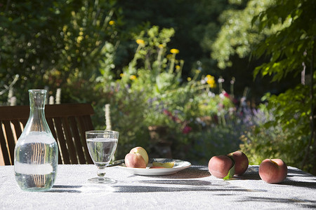 露天花园摄影照片_花园桌上桃子的特写，背景植物模糊