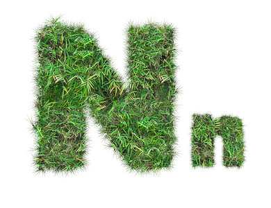 孤立的绿草上的字母 N