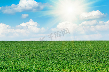 太阳和绿色新鲜的草地在蓝天下