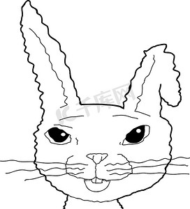概述兔子与弯曲的耳朵