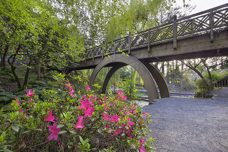 粉色杜鹃摄影照片_水晶泉杜鹃花园的木桥