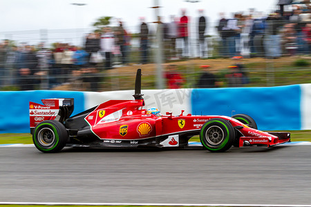 法拉利车队 F1 车队，费尔南多·阿隆索，2014 年